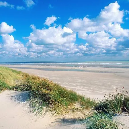 Entre Terres Et Apartman Samer